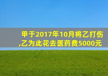 甲于2017年10月将乙打伤,乙为此花去医药费5000元