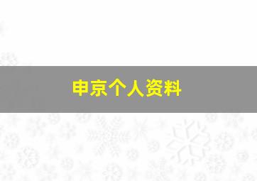 申京个人资料