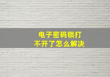 电子密码锁打不开了怎么解决