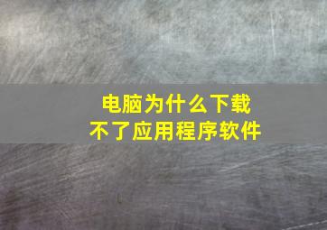 电脑为什么下载不了应用程序软件