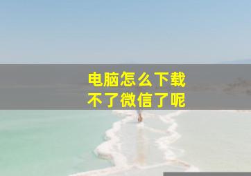 电脑怎么下载不了微信了呢