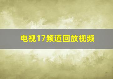 电视17频道回放视频