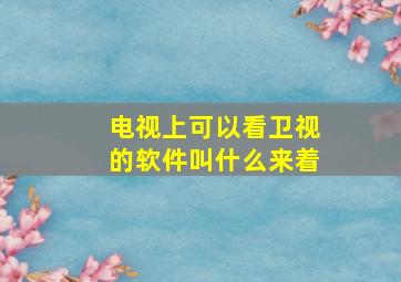 电视上可以看卫视的软件叫什么来着