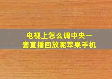 电视上怎么调中央一套直播回放呢苹果手机