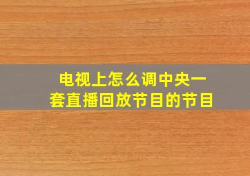 电视上怎么调中央一套直播回放节目的节目