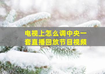 电视上怎么调中央一套直播回放节目视频