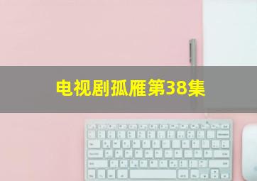 电视剧孤雁第38集