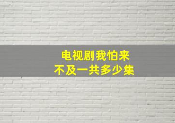 电视剧我怕来不及一共多少集