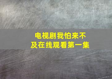 电视剧我怕来不及在线观看第一集