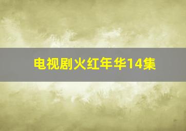 电视剧火红年华14集