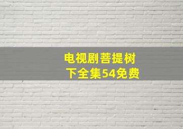 电视剧菩提树下全集54免费