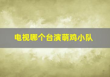 电视哪个台演萌鸡小队