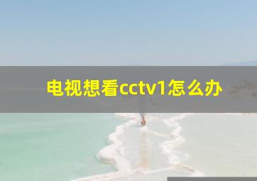 电视想看cctv1怎么办