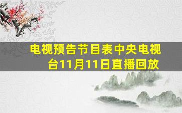 电视预告节目表中央电视台11月11日直播回放