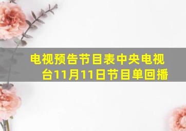 电视预告节目表中央电视台11月11日节目单回播