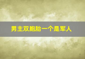 男主双胞胎一个是军人