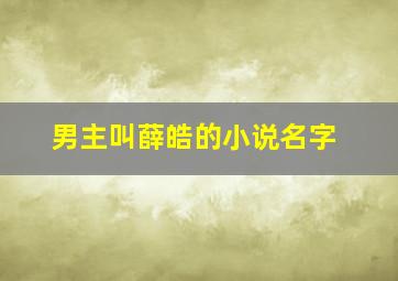 男主叫薛皓的小说名字