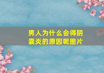 男人为什么会得阴囊炎的原因呢图片