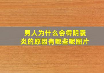 男人为什么会得阴囊炎的原因有哪些呢图片