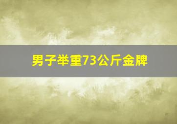 男子举重73公斤金牌