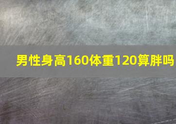 男性身高160体重120算胖吗