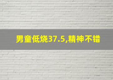 男童低烧37.5,精神不错