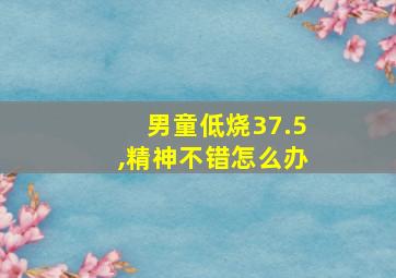 男童低烧37.5,精神不错怎么办