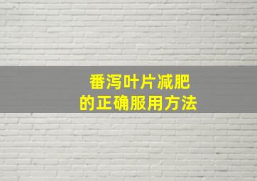 番泻叶片减肥的正确服用方法