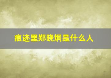 痕迹里郑晓炯是什么人