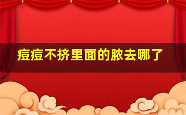 痘痘不挤里面的脓去哪了