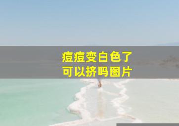 痘痘变白色了可以挤吗图片