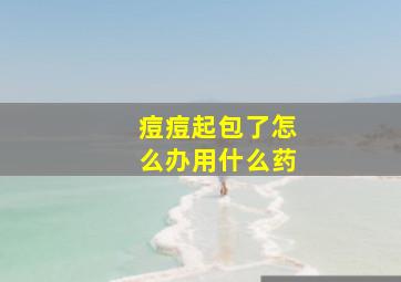 痘痘起包了怎么办用什么药