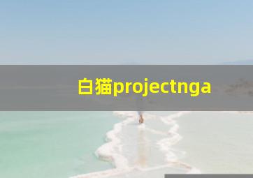 白猫projectnga