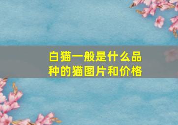 白猫一般是什么品种的猫图片和价格