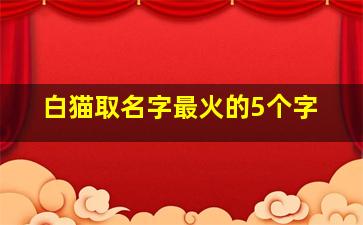 白猫取名字最火的5个字