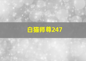 白猫师尊247