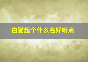 白猫起个什么名好听点