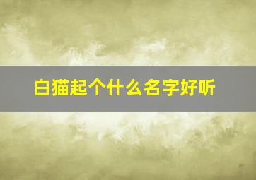 白猫起个什么名字好听