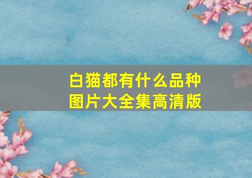 白猫都有什么品种图片大全集高清版