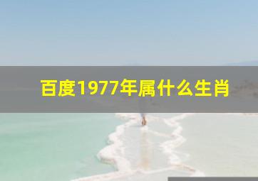 百度1977年属什么生肖