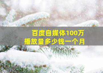 百度自媒体100万播放量多少钱一个月