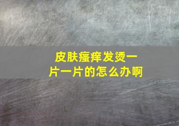 皮肤瘙痒发烫一片一片的怎么办啊