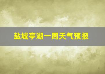 盐城亭湖一周天气预报