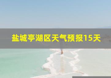 盐城亭湖区天气预报15天