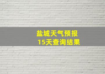 盐城天气预报15天查询结果