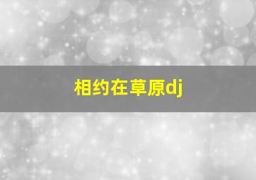 相约在草原dj