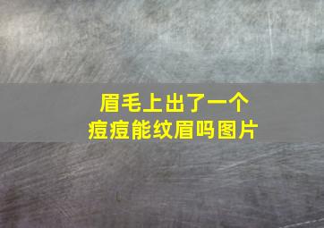 眉毛上出了一个痘痘能纹眉吗图片