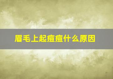 眉毛上起痘痘什么原因