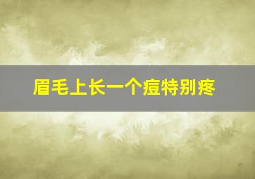 眉毛上长一个痘特别疼