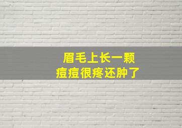 眉毛上长一颗痘痘很疼还肿了